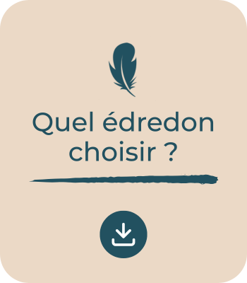 quel édredon choisir